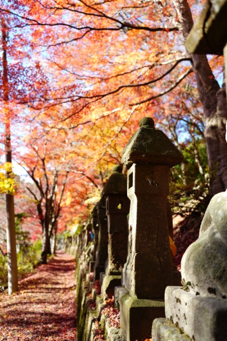 足元の石段は、空へつながる回廊