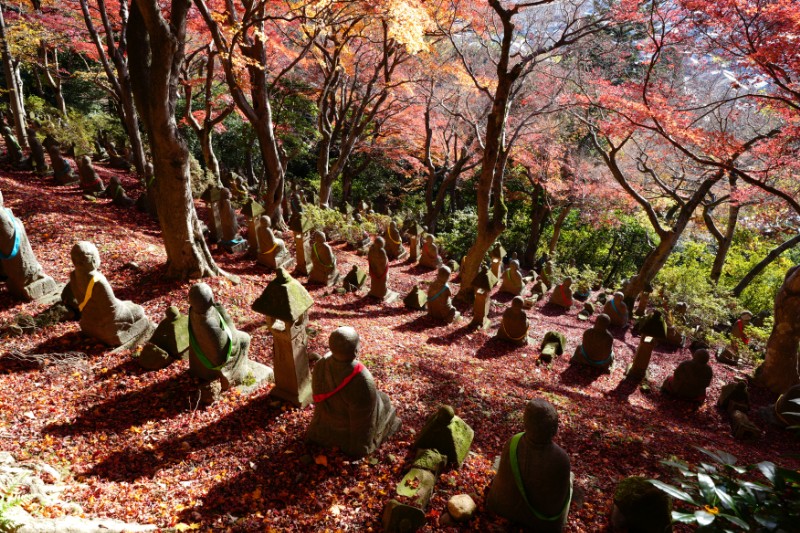 背中で語る、積み重ねた時の深さ