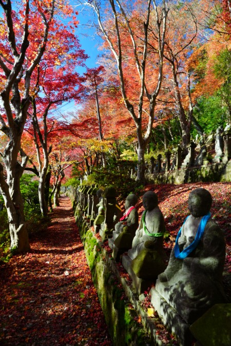 言葉を持たない対話が、季節の中に響く