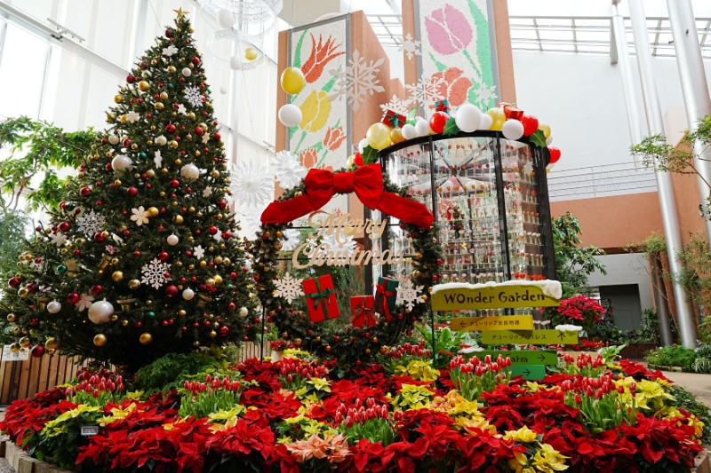 花の庭にひらく、小さなクリスマスの気配
