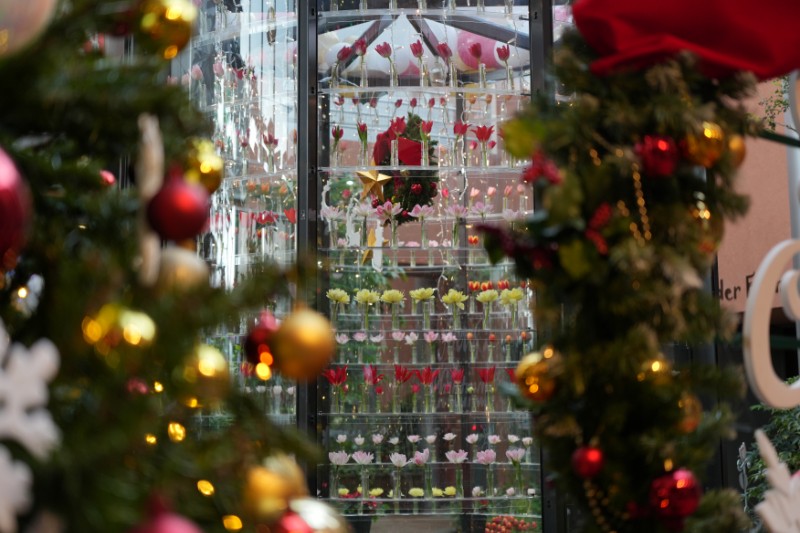 きらめきの向こうに、静かに息づく花の宮殿