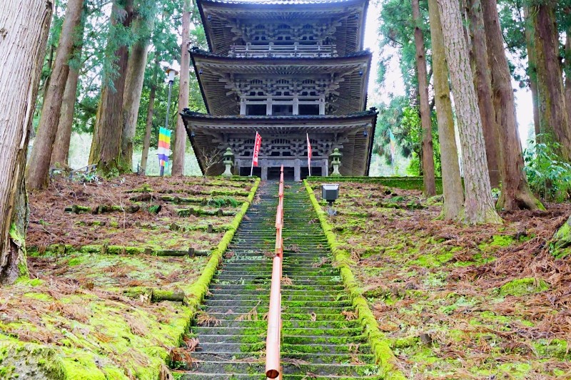 苔と杉林に包まれた参詣の道