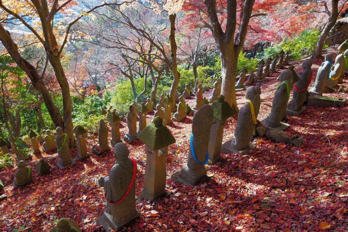 紅に染まる斜面に並ぶ背中
