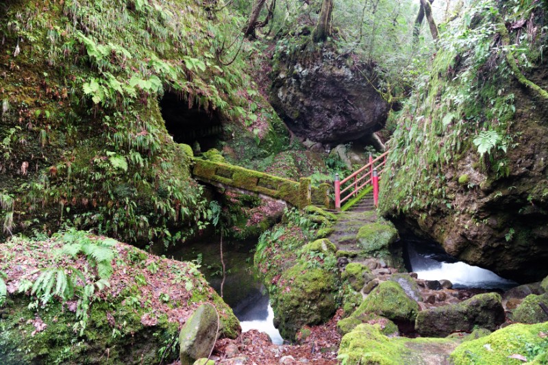 清流が交差する大岩千巌渓の静かな一瞬 