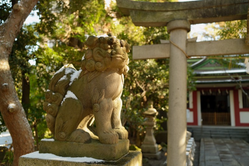 木立の中の狛犬