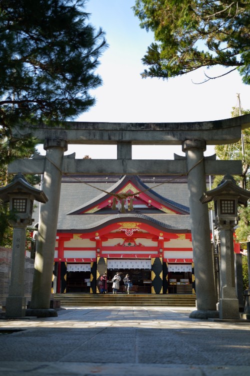 鳥居越しに望む社殿