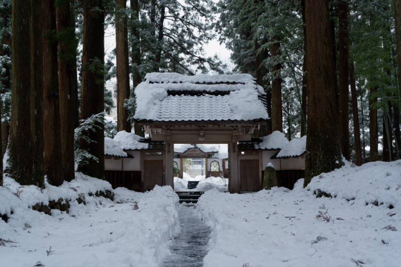 静けさへと続く、一本の道