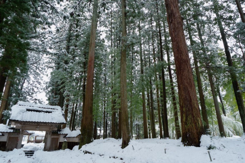 雪に包まれた立山寺、木立の中の山門