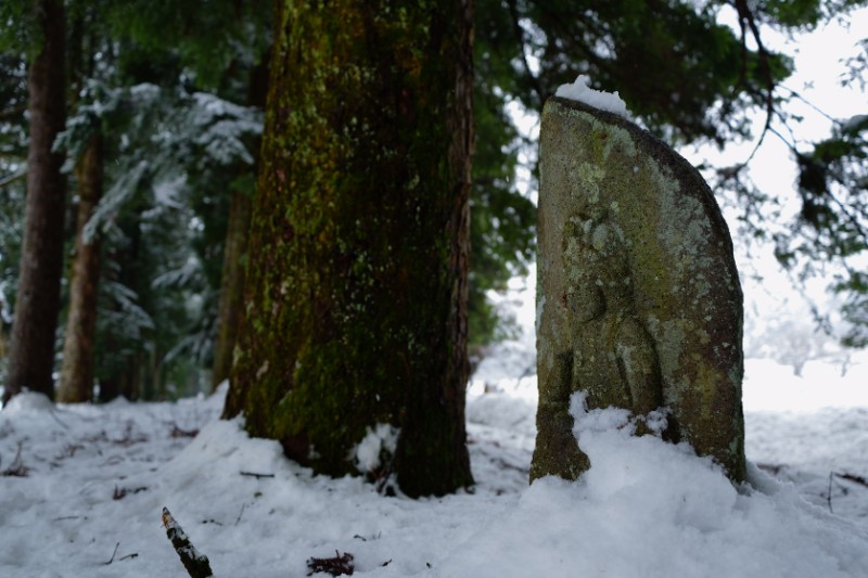 雪をまとい、時間だけを生きる石