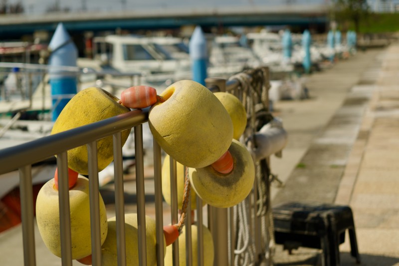 船着き場に並ぶブイ。光にあたためられた早春の色。