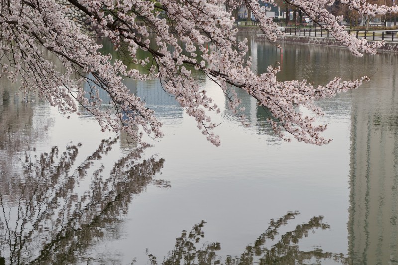 水面の揺らぎを活かしたリフレクション