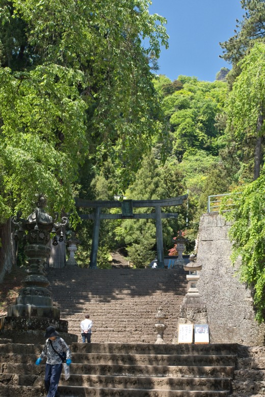 新緑に包まれた石段、その先へ続く祈りの道