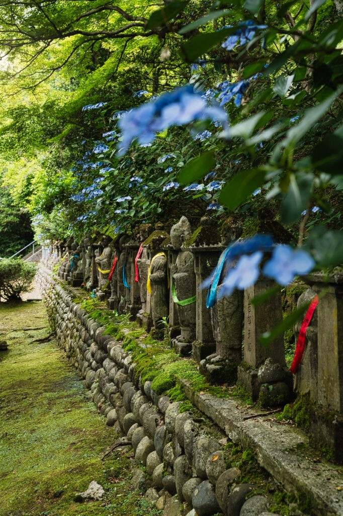 紫陽花の向こうで、変わらぬ時を刻み続ける五百羅漢