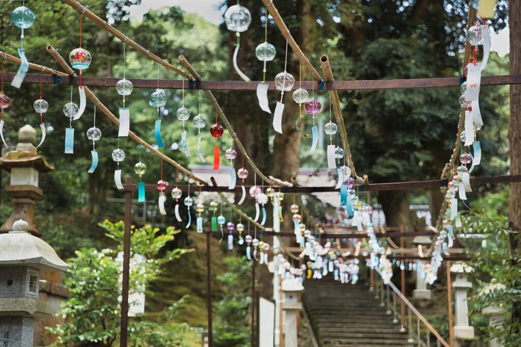 幾重にも連なる風鈴。その先へ、夏の風が続いていた。