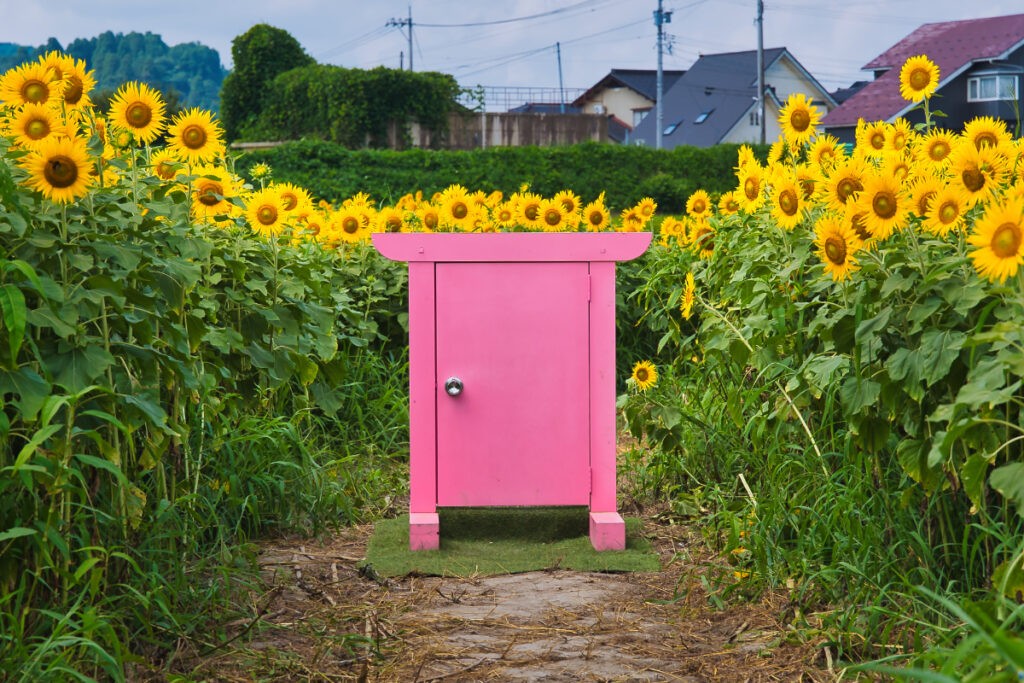その扉の向こうに広がるのは、夏の景色だけではありません。