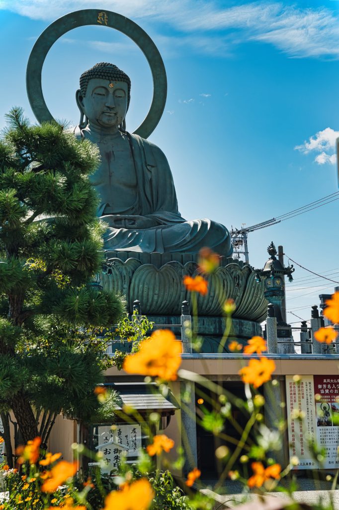 黄金色の花越しに見上げる横顔。伏せた目もとに、静かな微笑みが宿っている。